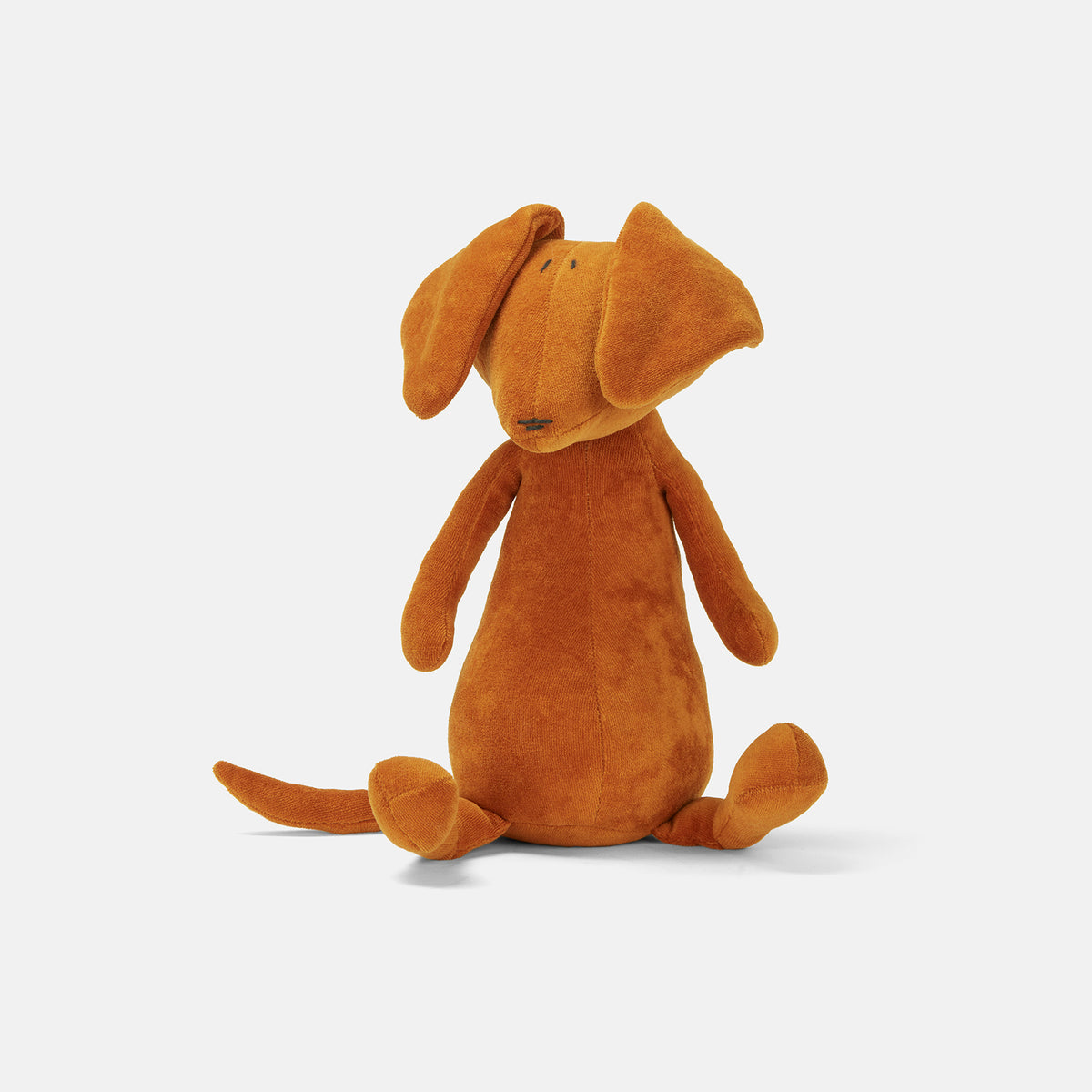 Scott - The Dachshund