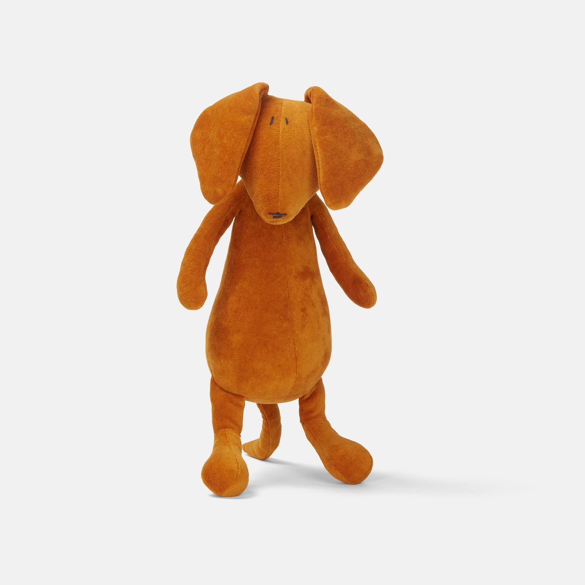 Scott - The Dachshund